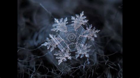 Snowflakes By Alexey Kljatov Youtube