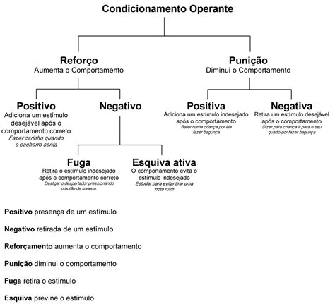 O Que é Condicionamento Operante