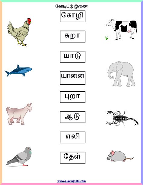 Tamil coloring worksheet 1 kidschoolz 1st grade lesson plans education com tamil work sheets matching filling coloring with answer Free printable for kids (toddlers/preschoolers) flash ...