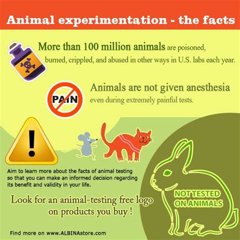 Animal abuse occurs throughout the world and across many demographics. 11 best (Ạ)Cruelty-free infographics images on Pinterest ...