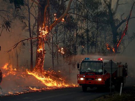 man-accused-of-scamming-$24,000-via-phony-bushfire-relief-claims-the