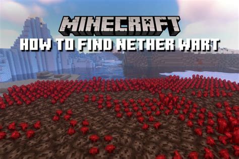 how to find nether wart in minecraft 2022 beebom