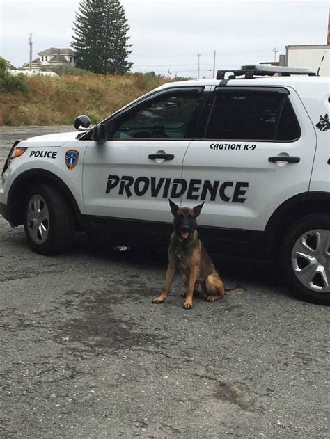 City Of Providence Providence Police K9s Make Narcotics And Firearm