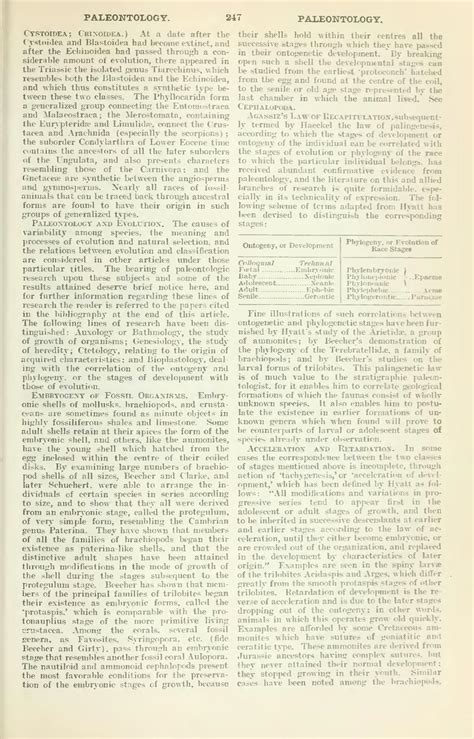 Pagethe New International Encyclopædia 1st Ed V 15djvu284