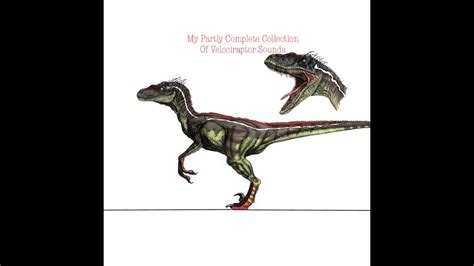 My Partly Complete Collection Of Velociraptor Sounds Youtube
