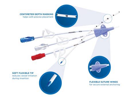 Triple Lumen Catheter Proximal Medial And Distal