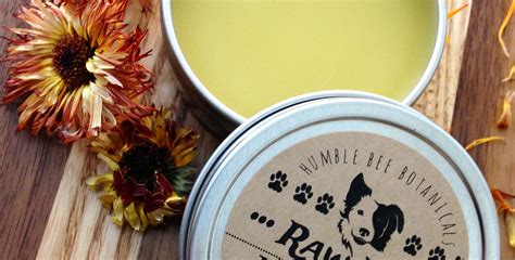 Raw Paw Dog Paw Balm Featherflies