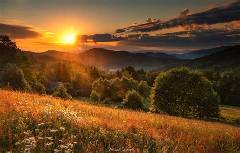 Sunset Meadow Wallpapers Wallpaper Cave