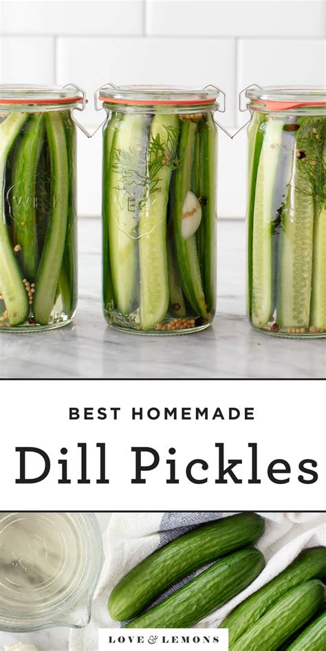 Dill Pickles Recipe Love And Lemons Easy Dill Pickle Recipe Homemade