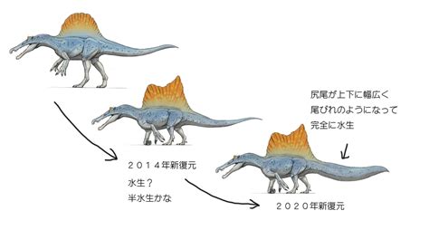 スピノサウルスは幅の広い尾ビレを持った水生恐竜だった？復元更新ペースが速い 話題の画像プラス