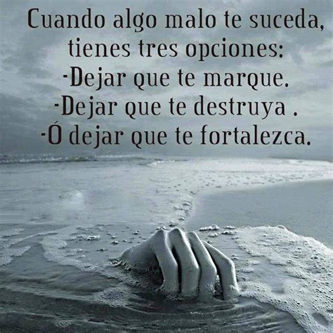 Imagenes Con Frases Sabias Miexsistir