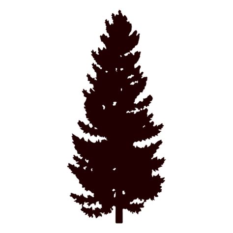 Black Pine Tree Silhouette Transparent Png And Svg Vector File