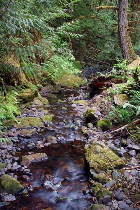 Wilson Creek 7 Photograph By Ben Upham Iii Fine Art America