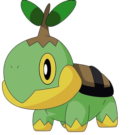 Turtwig Wiki Pokémon Amino