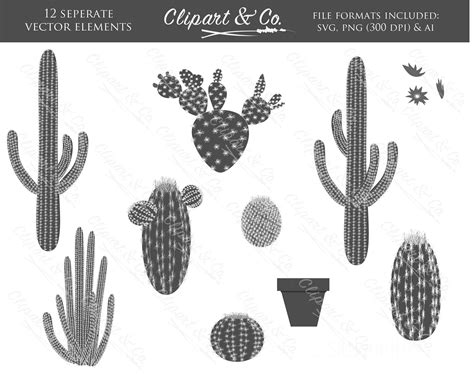 Cactus Clip Art Silhouette Clipart And Co Vector Images Boho Etsy
