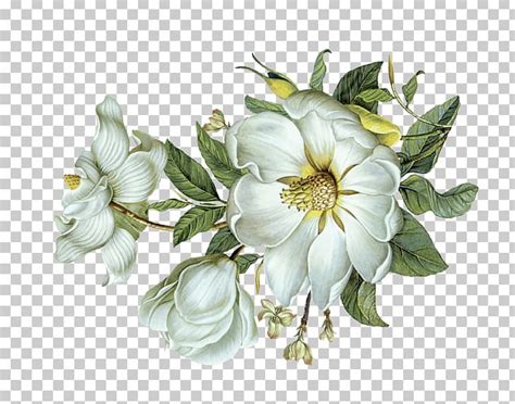 Green leaves nordic fresh style home decoration waistline sticker removable. Flower Green Leaf Light PNG, Clipart, Artificial Flower ...