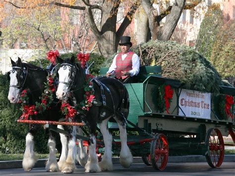 Maybe you would like to learn more about one of these? White House Christmas Through the Years: A Presidential ...