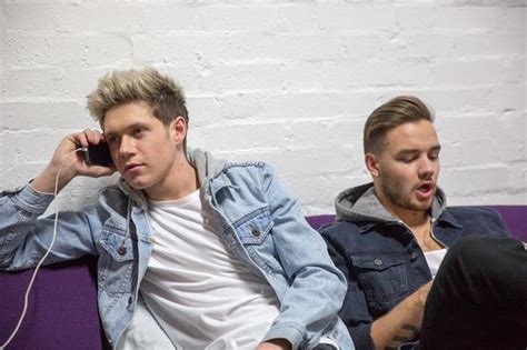 What Makes One Direction Guys Happy Niall Horan And Liam Payne Share