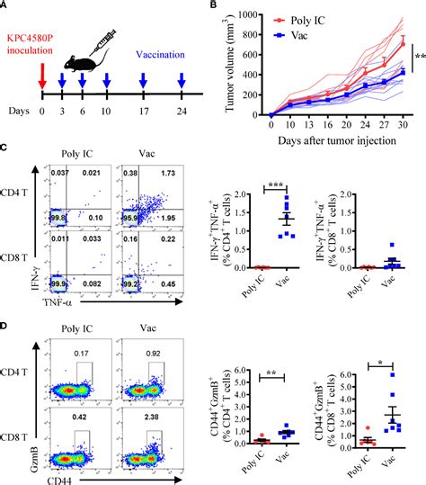 Frontiers Combination Tigit Pd Blockade Enhances The Efficacy Of