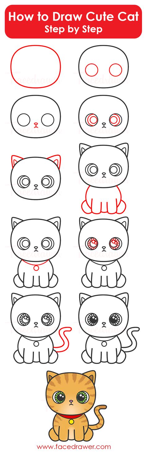 How To Draw Cute Cat Step By Step Infographic Cat Drawing Tutorial