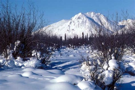 Free Picture Winter Scenic Arctic Wilderness Refuge