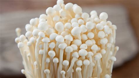 Growing Enoki Mushrooms Complete Guide Mushroom Growing