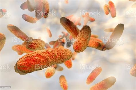 Biofilm Containing Bacteria Klebsiella Stock Illustration Download