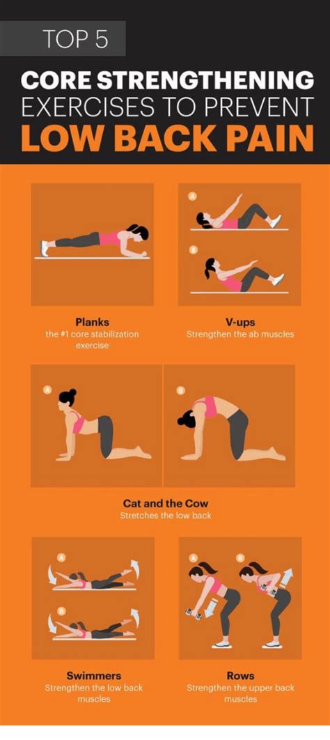 Top 5 Core Strengthening Exercises To Prevent Low Back Pain Planks The