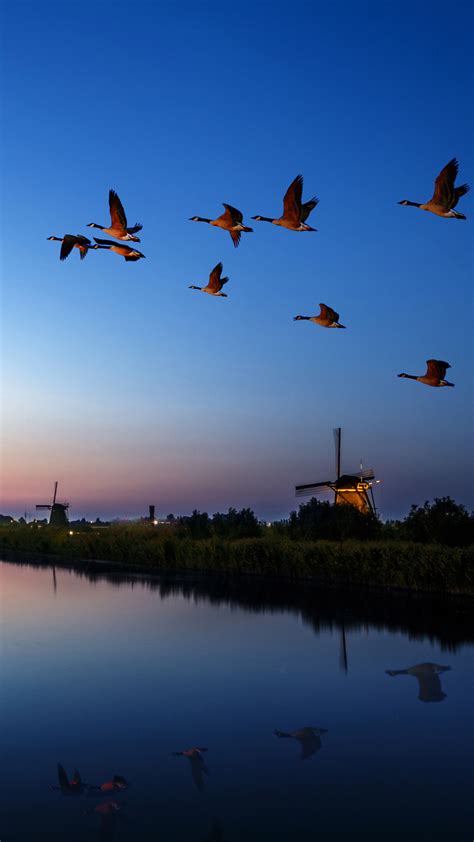 2160x3840 Windmill Birds Flying Evening Lake 4k Sony Xperia Xxzz5