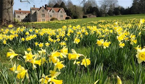 Mother S Day Lunch At Chawton House Hampshires Top Attractions