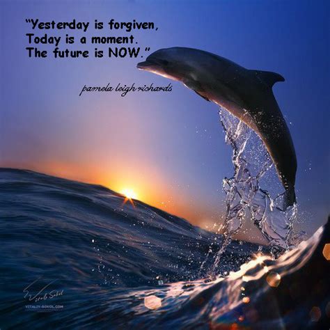 Dolphin In The Sea Quotes Quotesgram