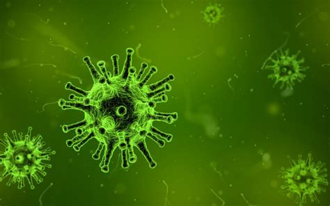 Canine Distemper Virus Symptoms and Treatment | East Valley Animal Hospital