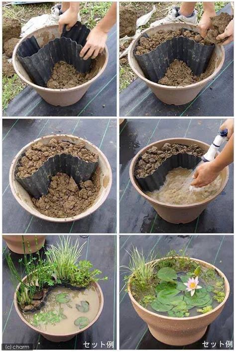 How To Set Up Mini Water Gardens On Your Deck Whats Ur Home Story