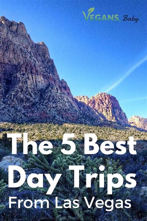 The Five Best Day Trips From Las Vegas Las Vegas Trip Vegas Trip