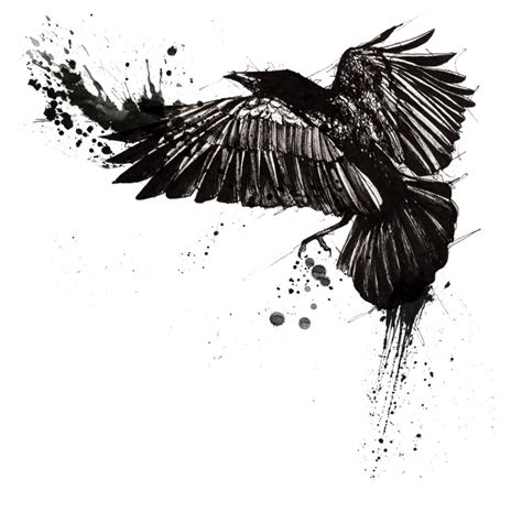Flying Crow Ink Drawing