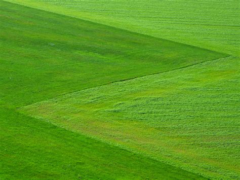 Free Images : landscape, nature, sky, farm, lawn, meadow, prairie, hill, green, crop, pasture ...