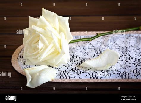 Still Life With Roses Stock Photo Alamy