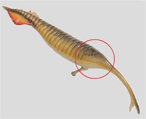 Movie of our tully monster robot. untitled1 earthphysicsteaching.homestead.com