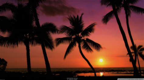 Tropical Beach Sunset Wallpaper Desktop Wallpapersafari