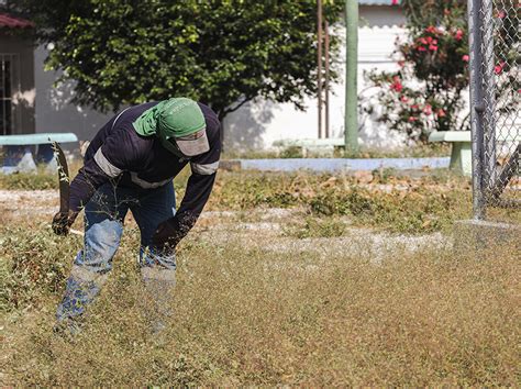 Parques Ep Atiende Un Requerimiento Ciudadano E Interviene Un Parque