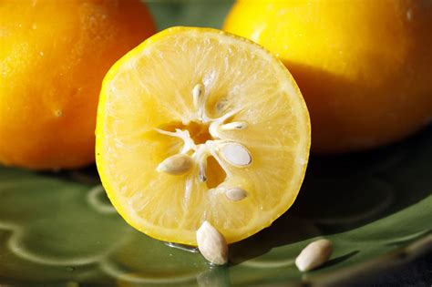 Jam Makers Tip Save Lemon Seeds For Homemade Pectin Kitchn