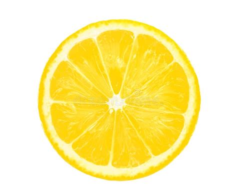 Lemon Slice Half Cut Isolated On White Stock Photo Image Of Juice