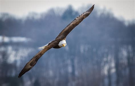 Troy Marcy Photography Brighten The Blue Winter Landscape