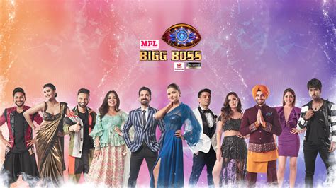 Heres Everything You Need To Know About The Bigg Boss 14 Contestants