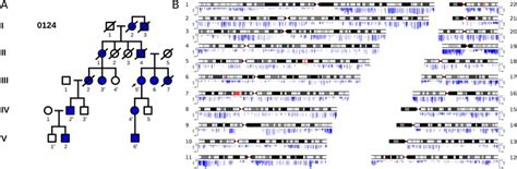 Novel Apc Promoter And Exon 1b Deletion And Allelic Silencing In Three
