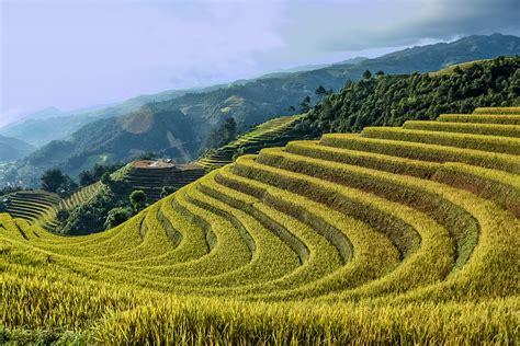 where-are-the-best-rice-terraces-in-vietnam-captain-essy