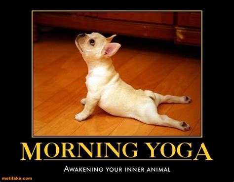 Yoga Memes A Yoginis Journey