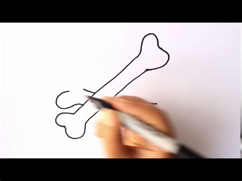 ¿cómo Dibujar Huesos Dibujo De Huesos