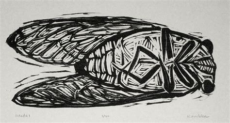 Cicada Woodcut By Kent Ambler Woodcut Linocut Relief Printmaking