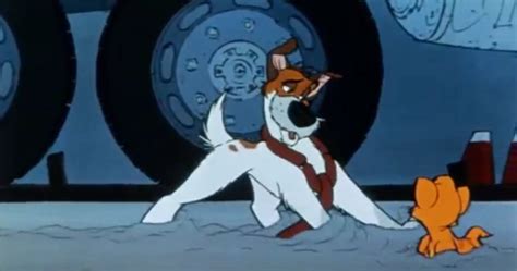 Why Should I Worry Oliver And Company S Dodger Photo 36973181 Fanpop